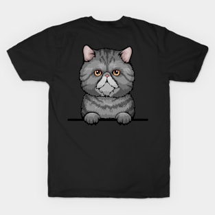 Tabby Exotic Cat T-Shirt